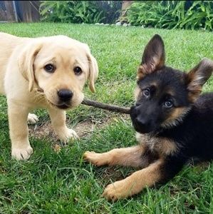 Meet your Posher, Mckenna